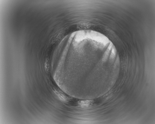 X0000055990134200509162301