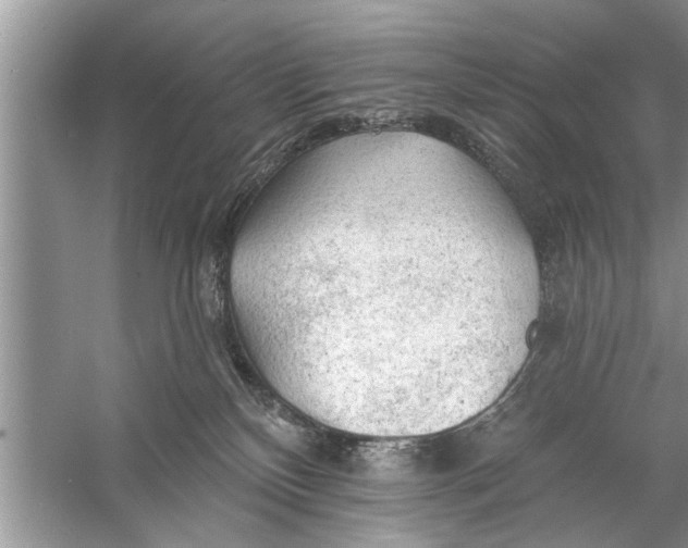 X0000055990136200509162301