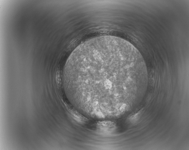 X0000055990137200509162301