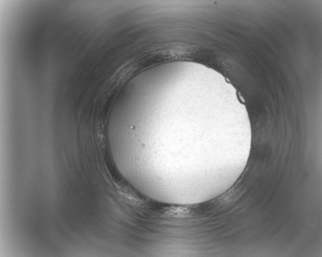 X0000055990140200509162301