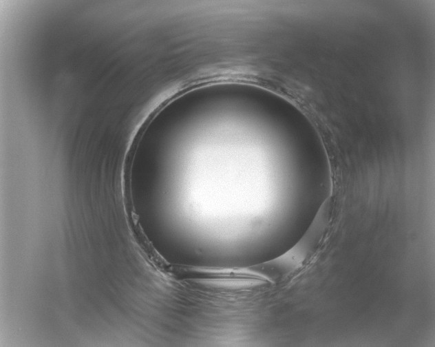 X0000055990148200509162300