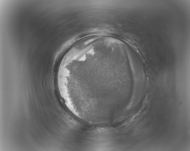 X0000055990149200509162300