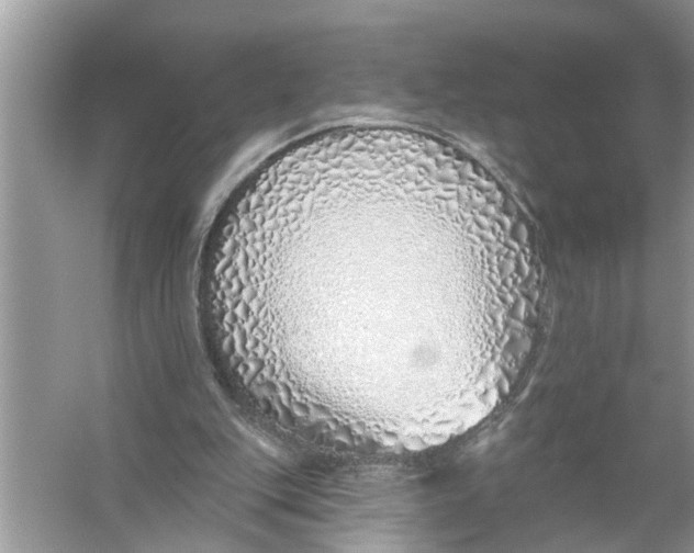 X0000055990151200509162300