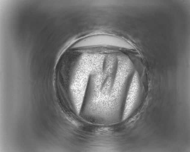 X0000055990152200509162300