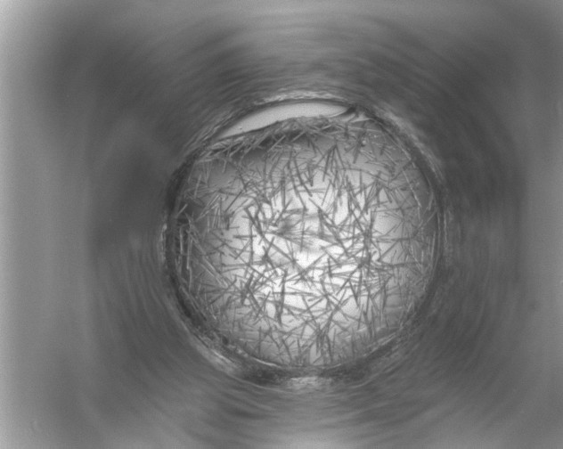 X0000055990153200509162300