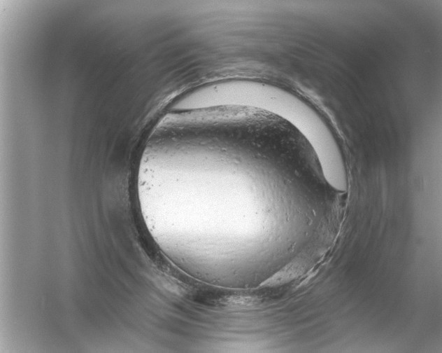 X0000055990154200509162300