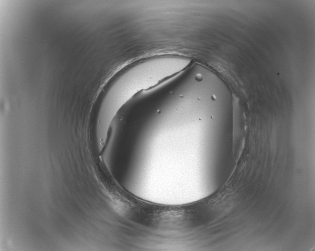 X0000055990156200509162300