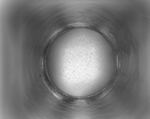 X0000055990157200509162300