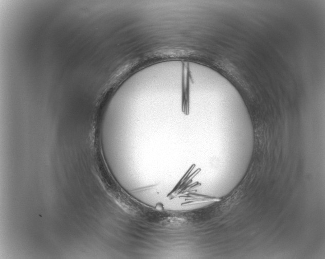 X0000055990159200509162301