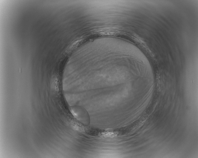 X0000055990161200509162301