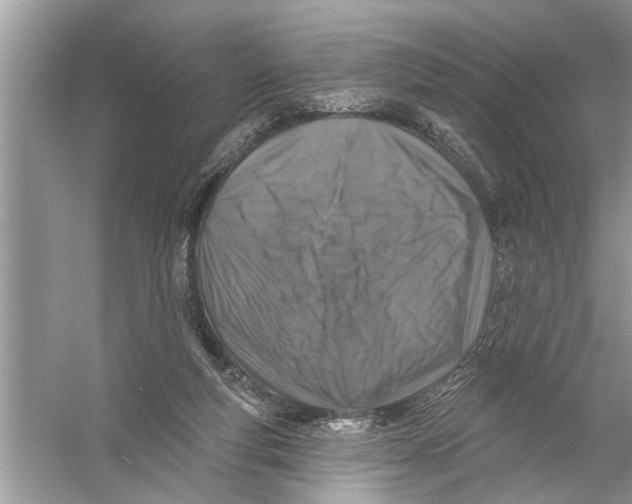 X0000055990163200509162301