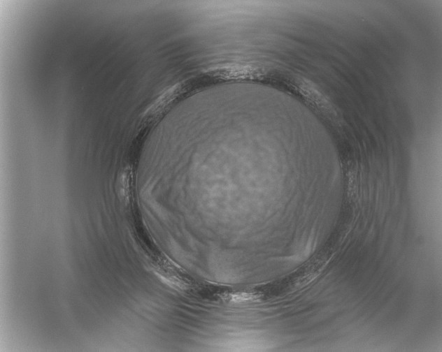 X0000055990165200509162301