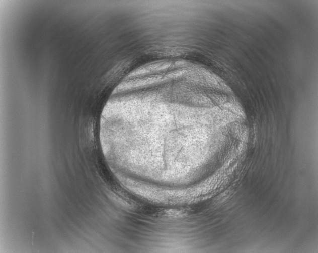 X0000055990166200509162301