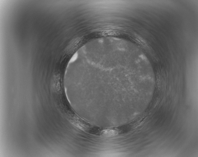 X0000055990169200509162301