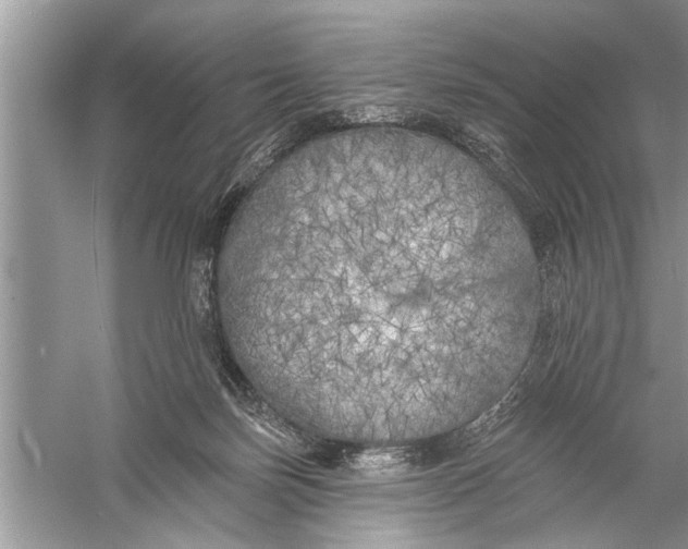 X0000055990171200509162301