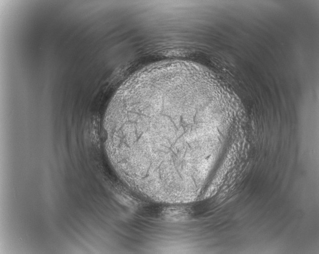 X0000055990175200509162301