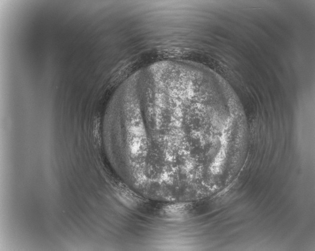 X0000055990178200509162301