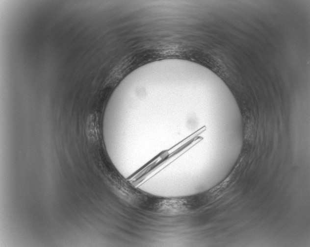 X0000055990179200509162301