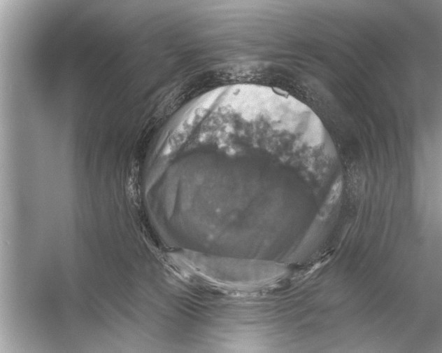 X0000055990181200509162301