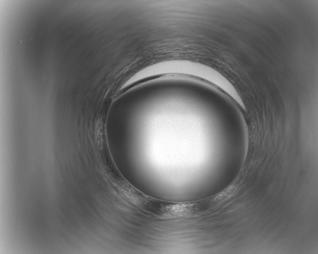 X0000055990184200509162301