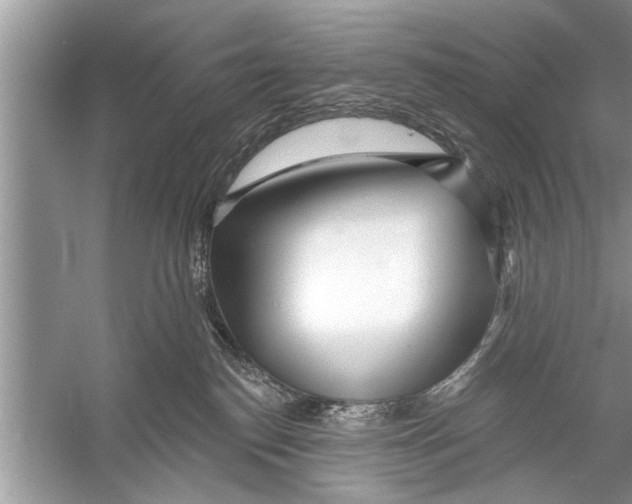 X0000055990186200509162301