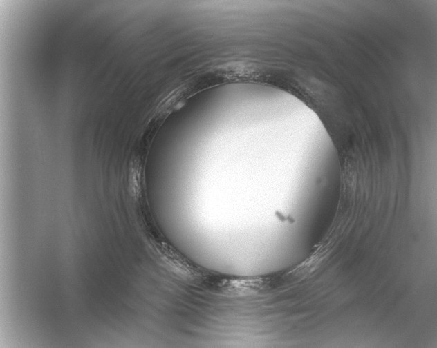 X0000055990188200509162301