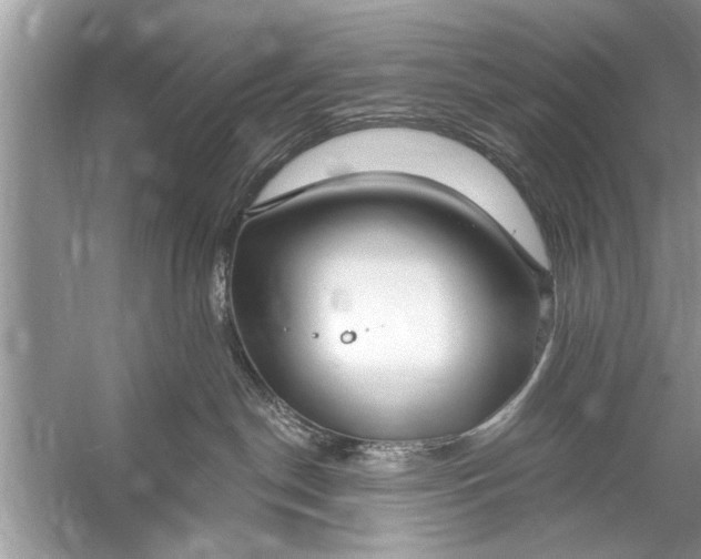 X0000055990190200509162301