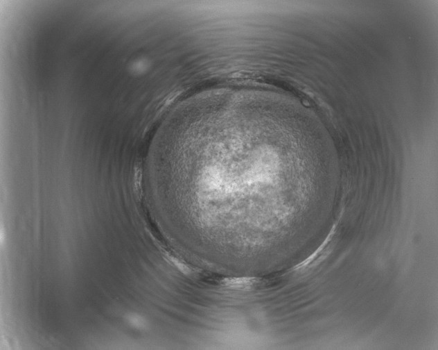 X0000055990192200509162301