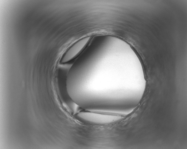 X0000055990193200509162300