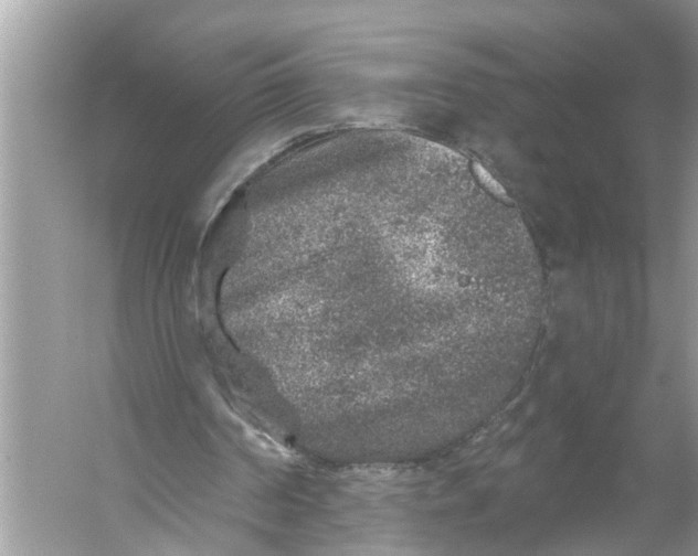 X0000055990194200509162300