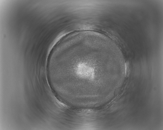 X0000055990195200509162300