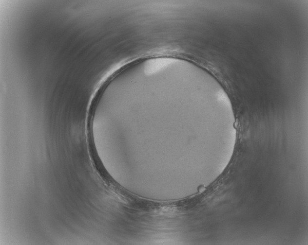 X0000055990196200509162300