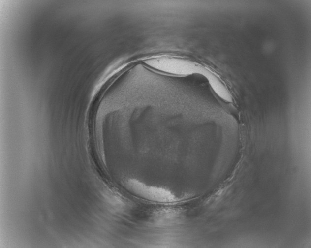 X0000055990198200509162300