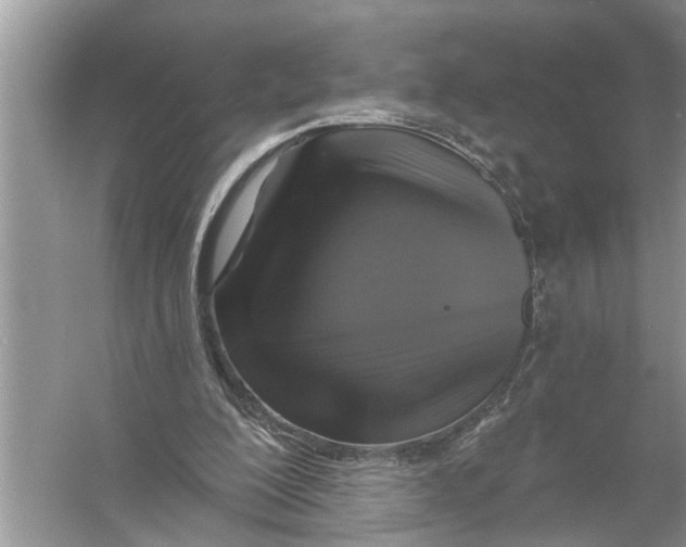 X0000055990200200509162300