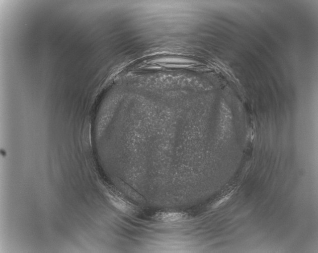 X0000055990205200509162300