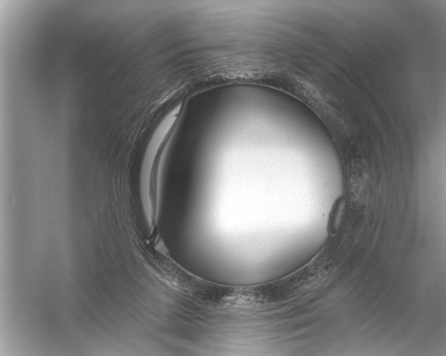 X0000055990211200509162300