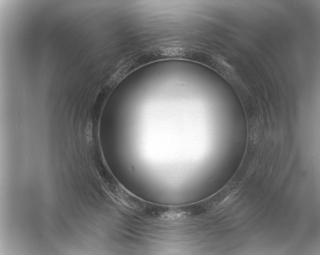 X0000055990213200509162300