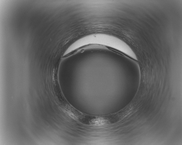 X0000055990219200509162300