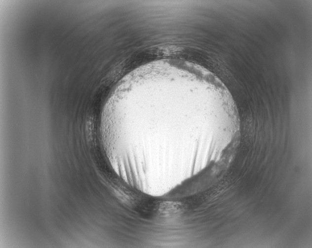 X0000055990222200509162300