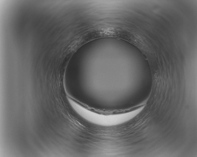 X0000055990223200509162300