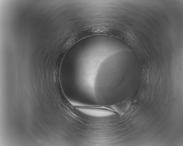 X0000055990227200509162300