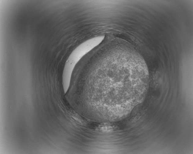 X0000055990228200509162300