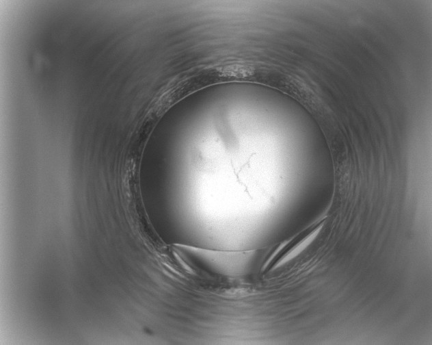 X0000055990229200509162300