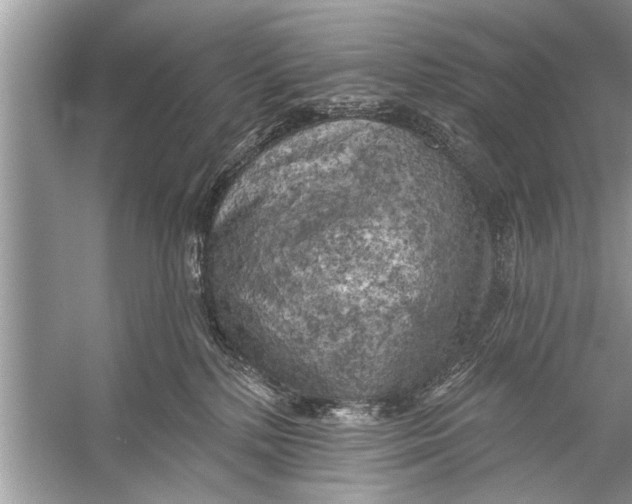 X0000055990232200509162300