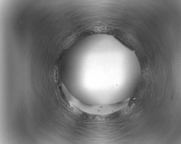 X0000055990233200509162300