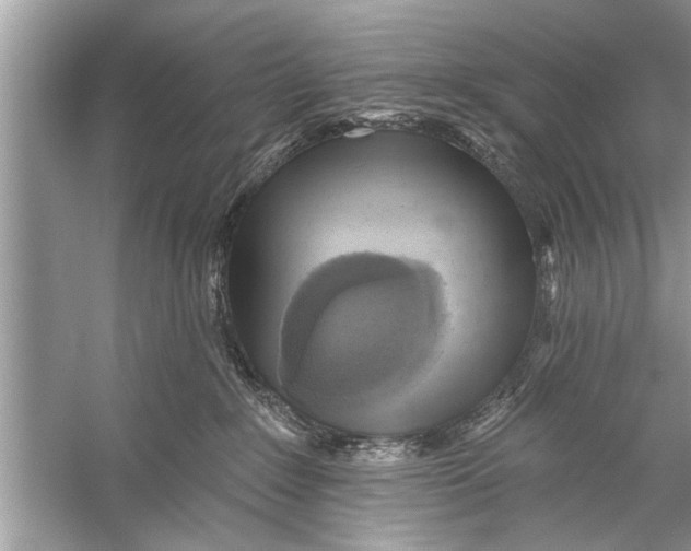 X0000055990235200509162300