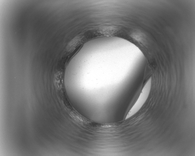 X0000055990237200509162300