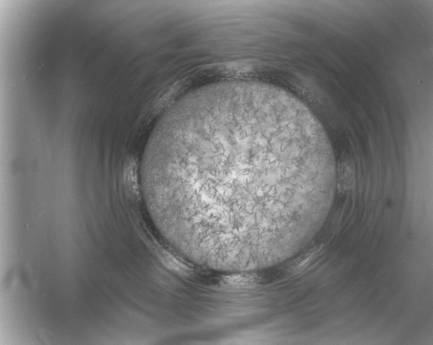 X0000055990238200509162300