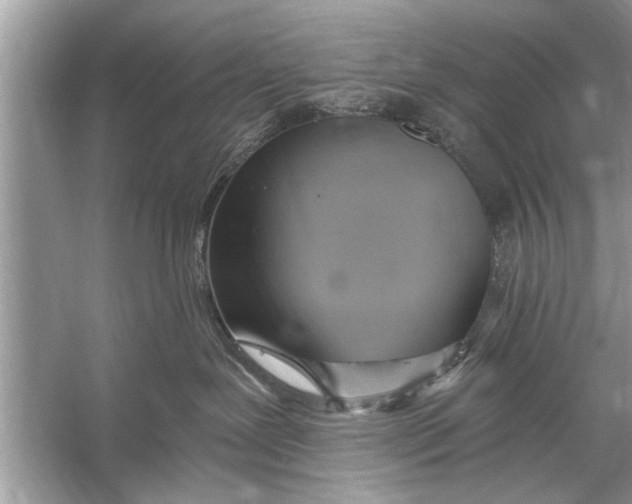 X0000055990239200509162259