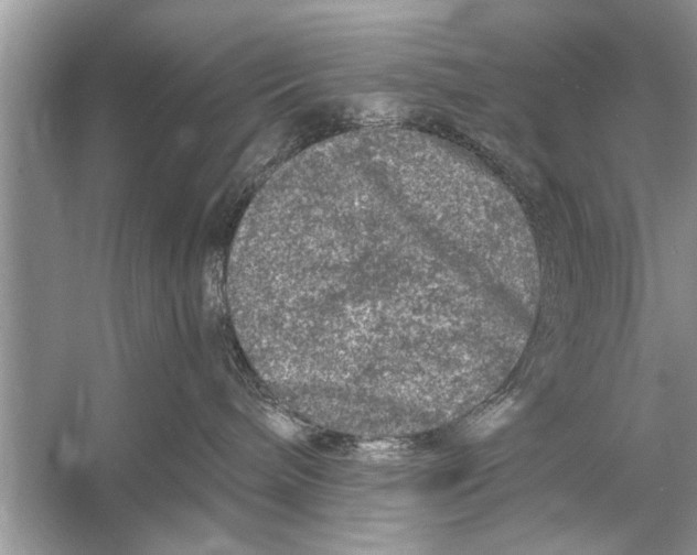 X0000055990240200509162259